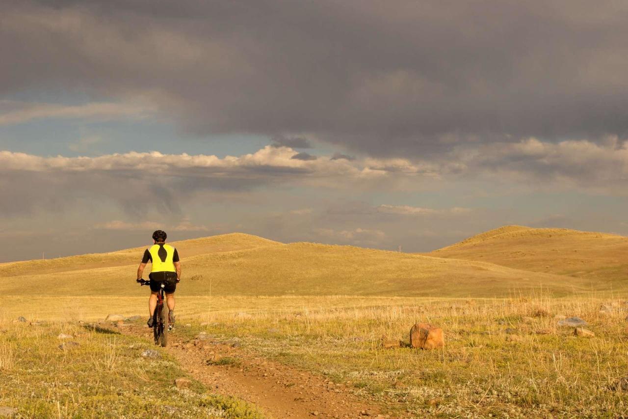 Capitol Hill Den - thumb 23