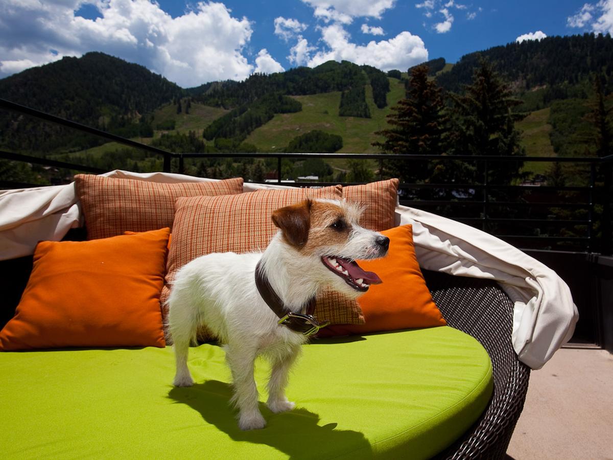Limelight Hotel Aspen - thumb 37