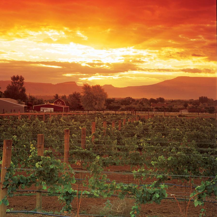 Hampton Inn Grand Junction - thumb 13