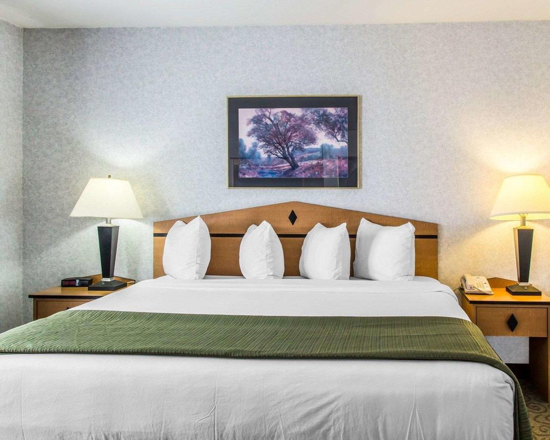 Quality Inn And Suites Denver Airport - Gateway Park - thumb 39