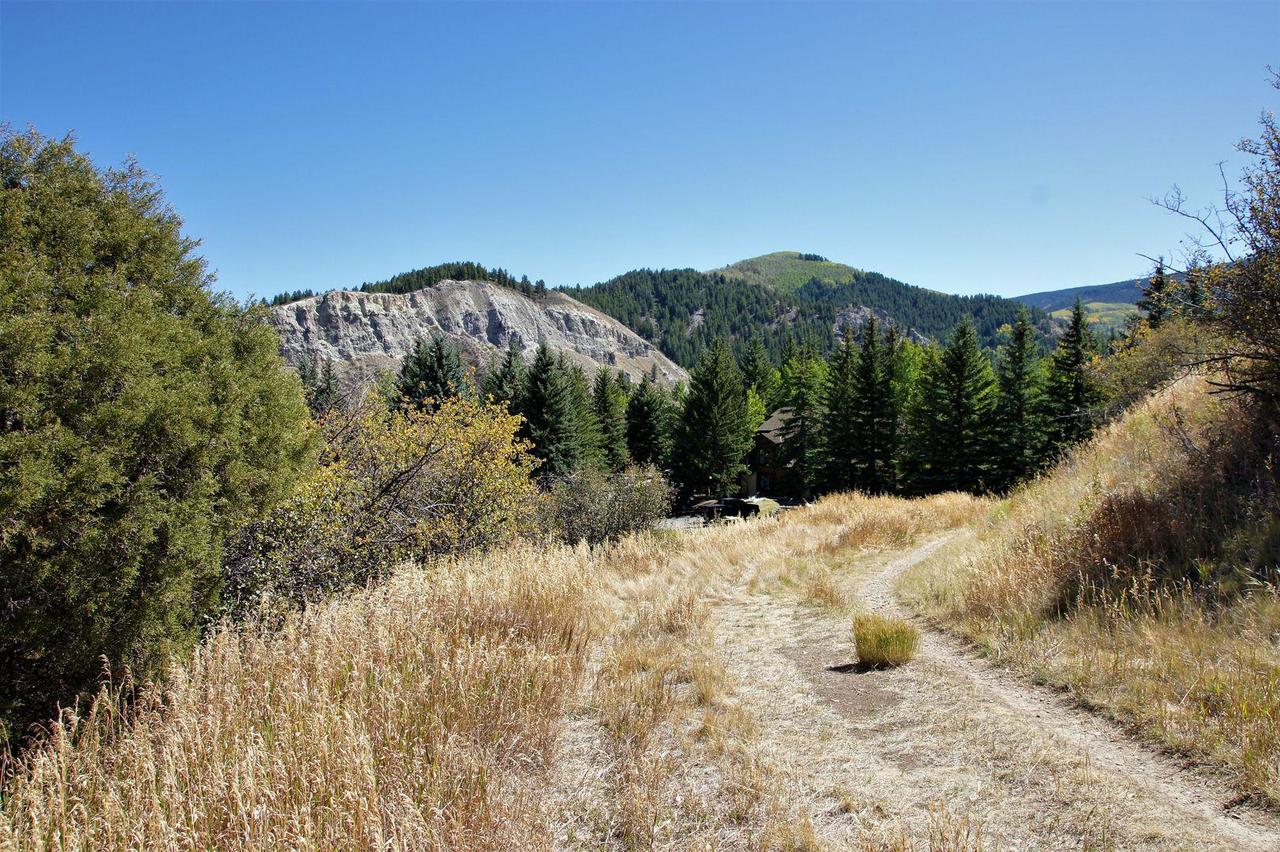 141 Willis Place (208443 - 9414) Townhouse - thumb 16