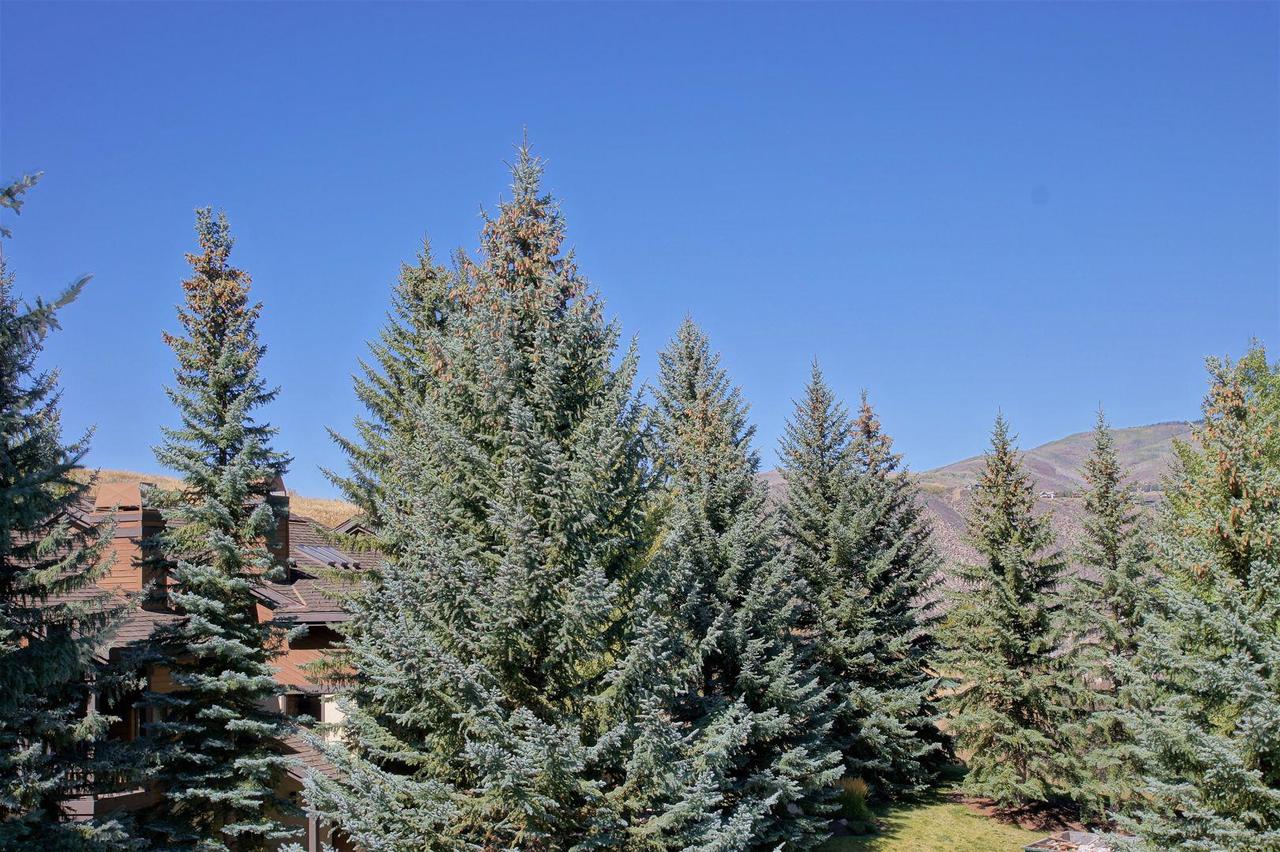 141 Willis Place (208443 - 9414) Townhouse - thumb 19