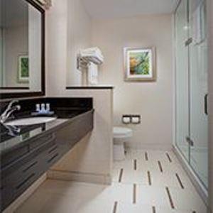 Fairfield Inn And Suites By Marriott Alamosa - thumb 22