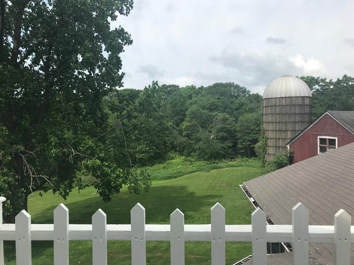 Turning Point Farm - thumb 23