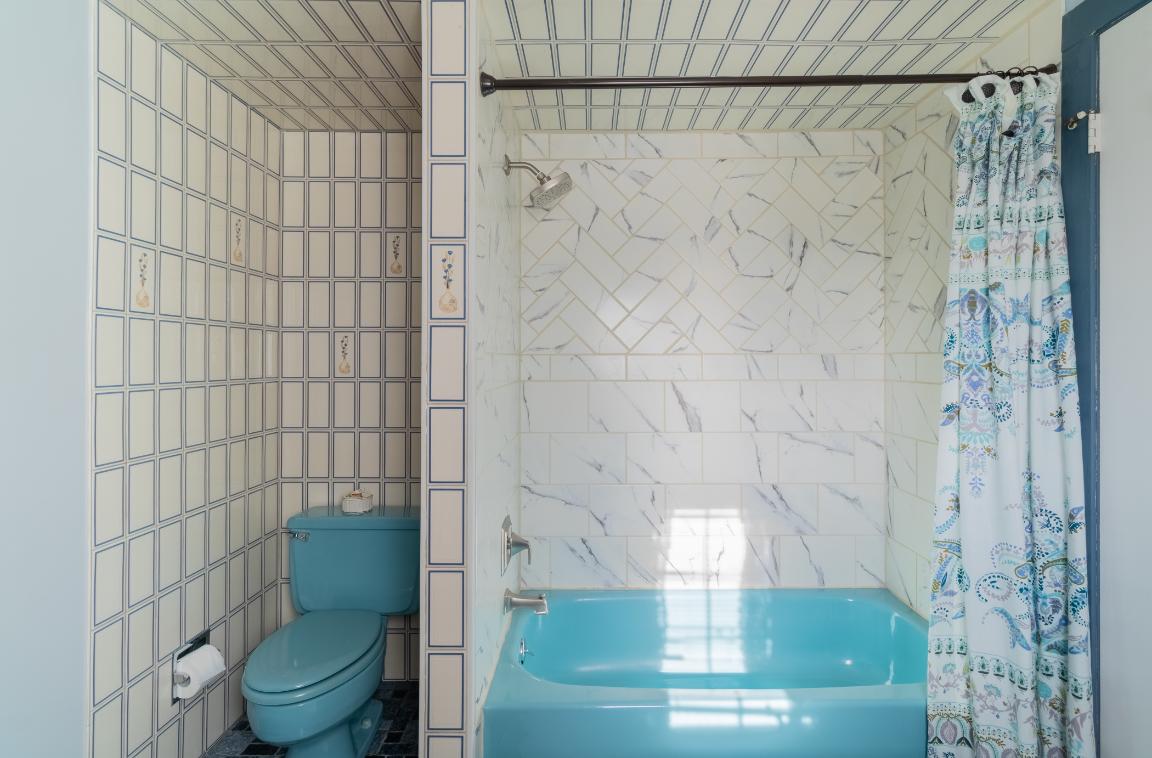 Turning Point Farm - thumb 15