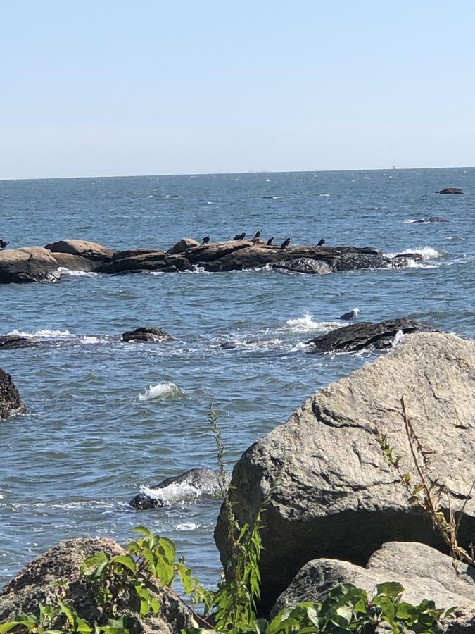 14 Charles St Apartment - thumb 9