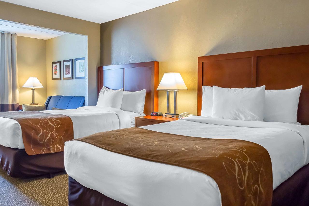Comfort Suites Norwich - thumb 33