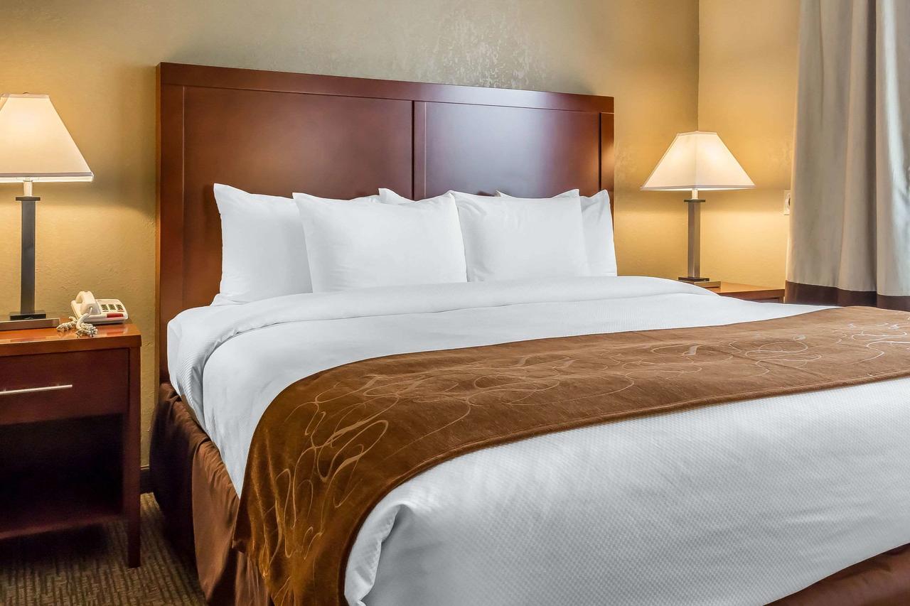 Comfort Suites Norwich - thumb 31