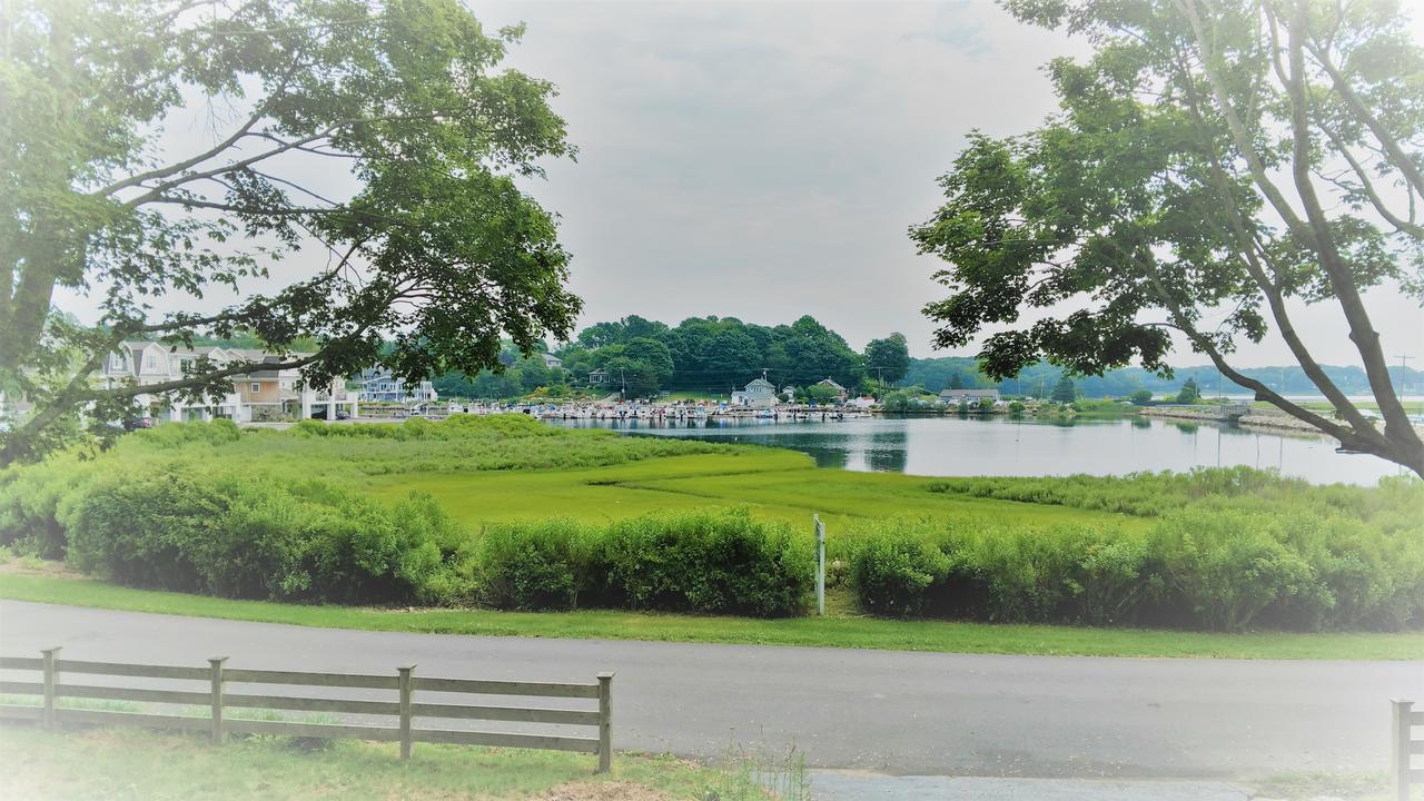 Caster Holdings Too! - thumb 17