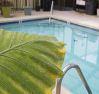 Brighton Suites Hotel - Tourism Bookings
