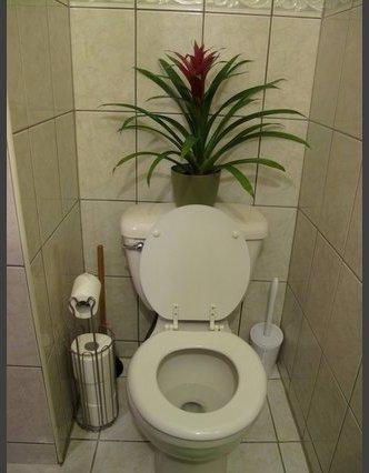 The People's Place 2 - thumb 11