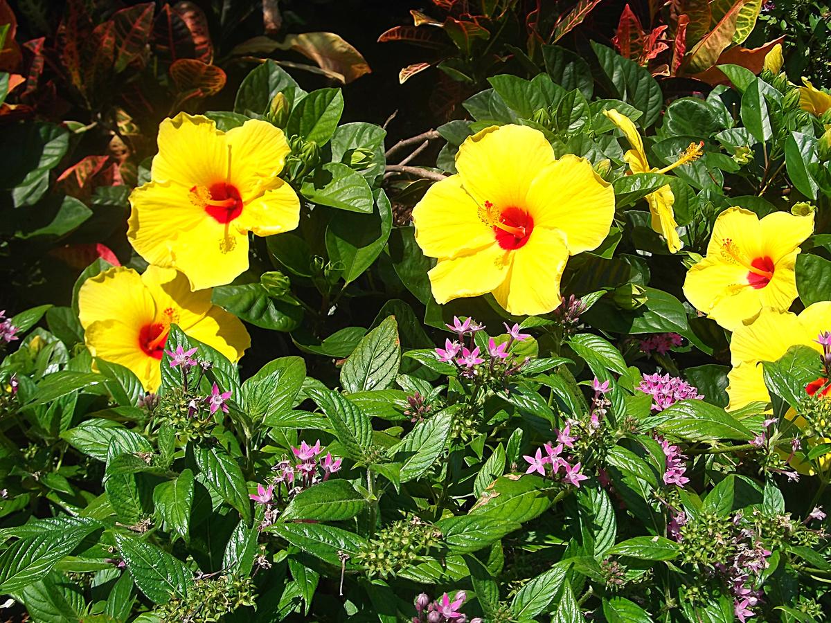 Ramada By Wyndham Naples - thumb 20