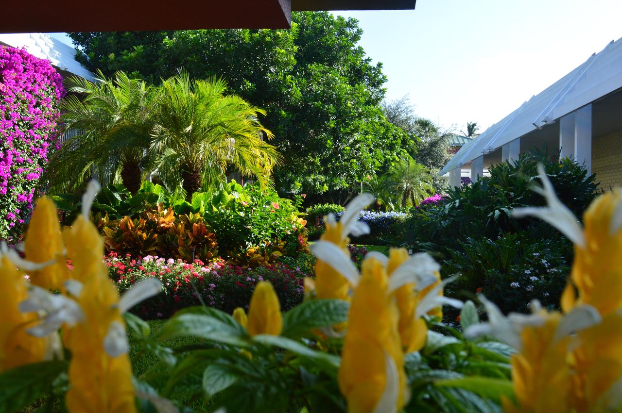 Ramada By Wyndham Naples - thumb 32