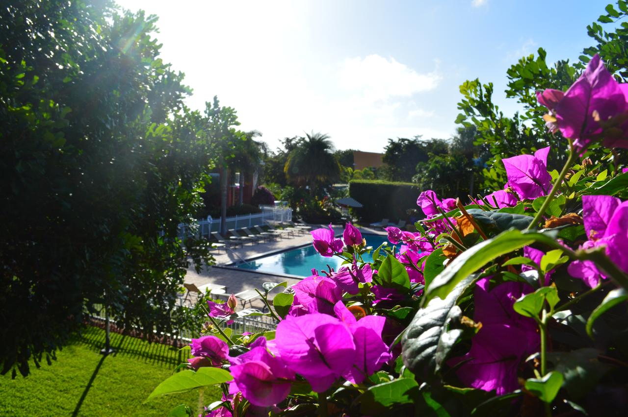 Ramada By Wyndham Naples - thumb 18