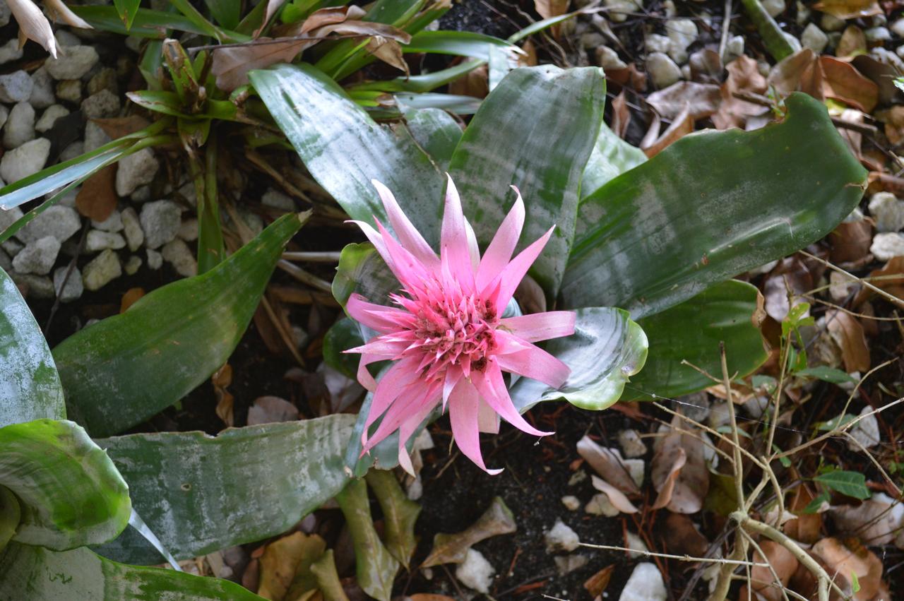 Ramada By Wyndham Naples - thumb 31