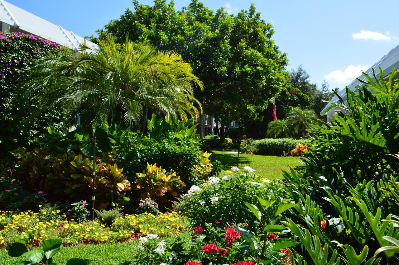 Ramada By Wyndham Naples - thumb 15