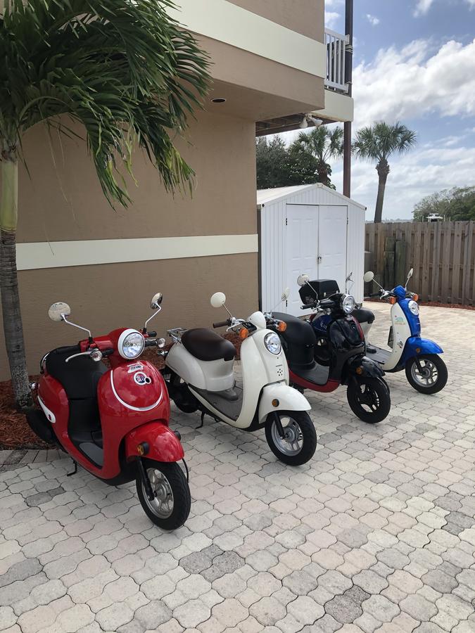 A Slice Of Paradise - thumb 1