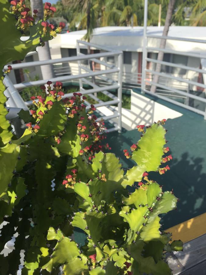 El Patio Motel - thumb 26