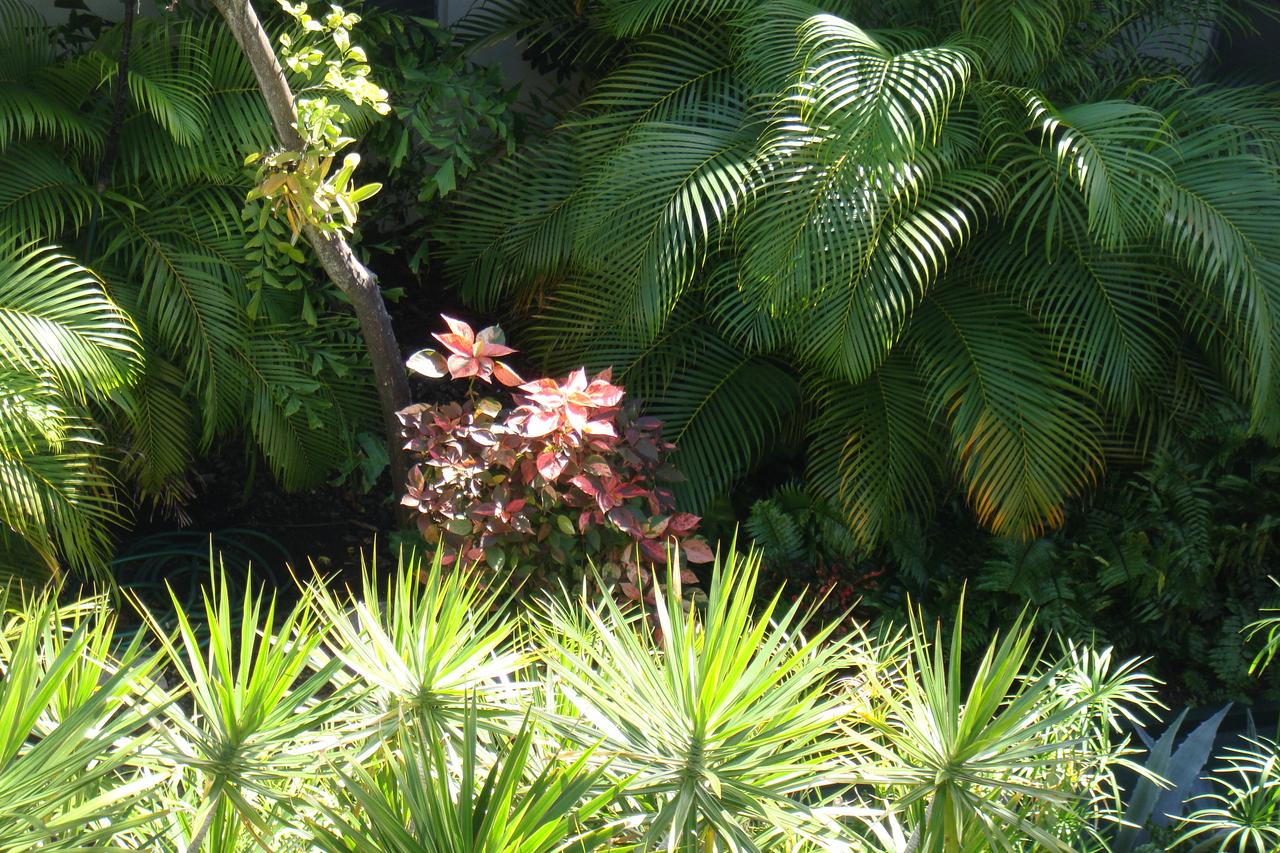 El Patio Motel - thumb 23