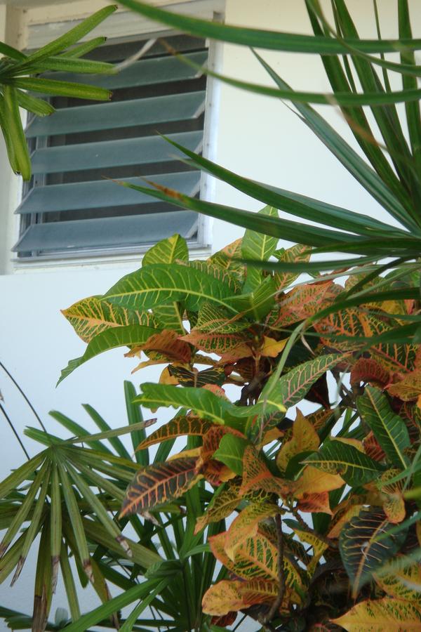 El Patio Motel - thumb 14