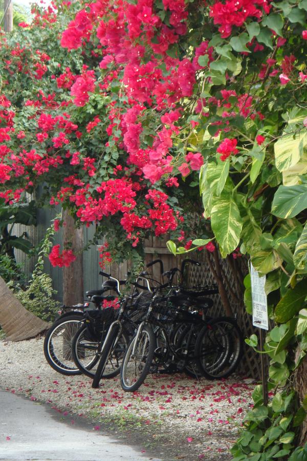 El Patio Motel - thumb 8