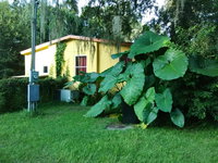 Booking Inverness Tourism Bookings