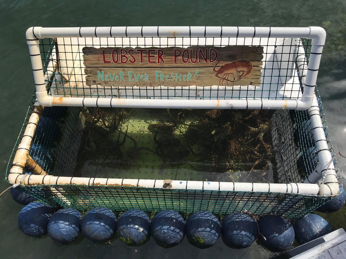 Ibis Bay Resort - thumb 32