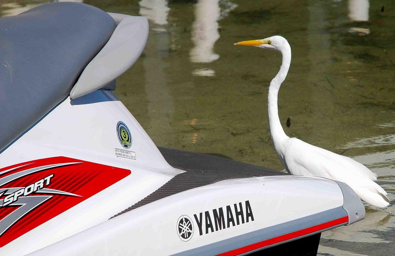 Ibis Bay Resort - thumb 40