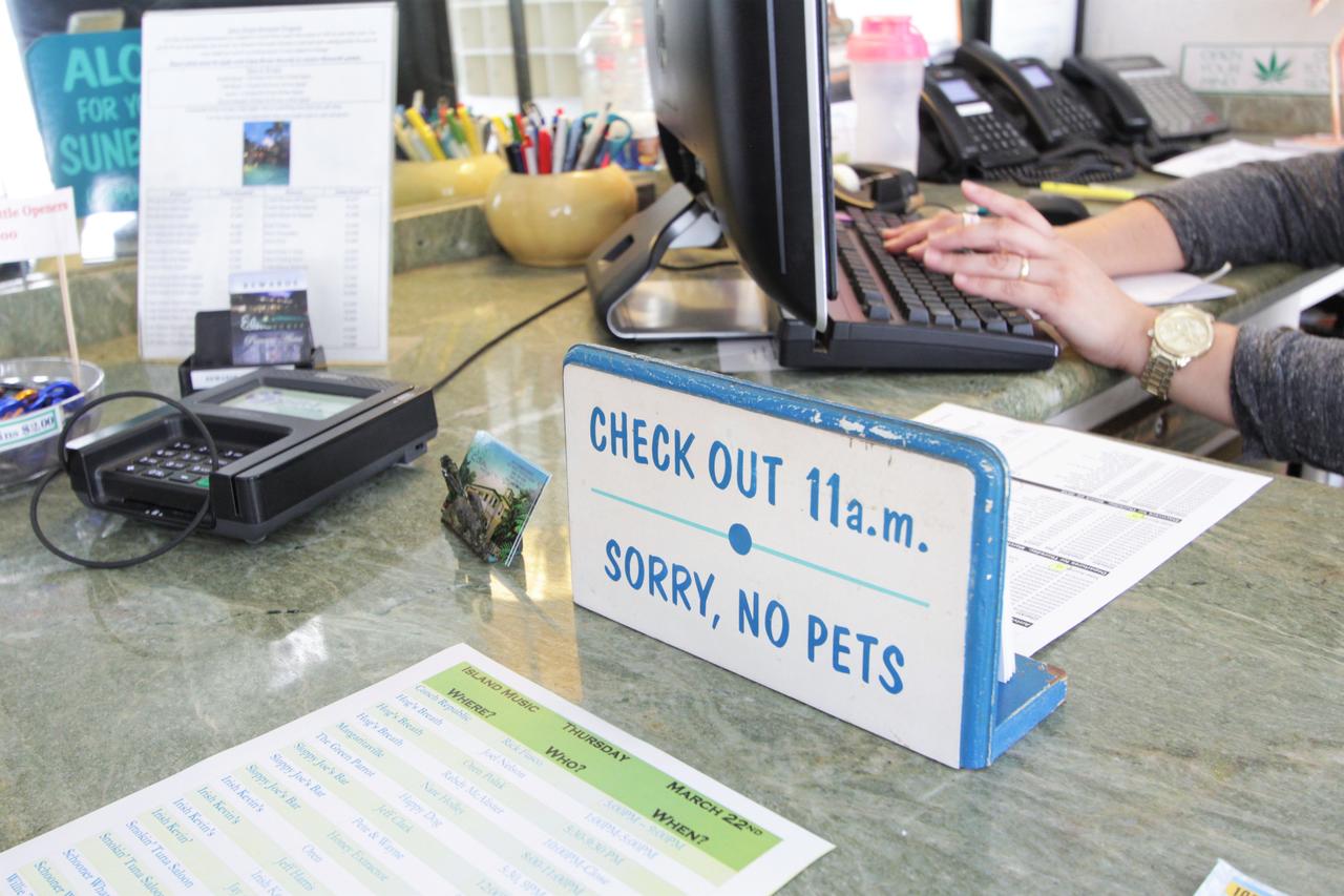 Eden House - thumb 25