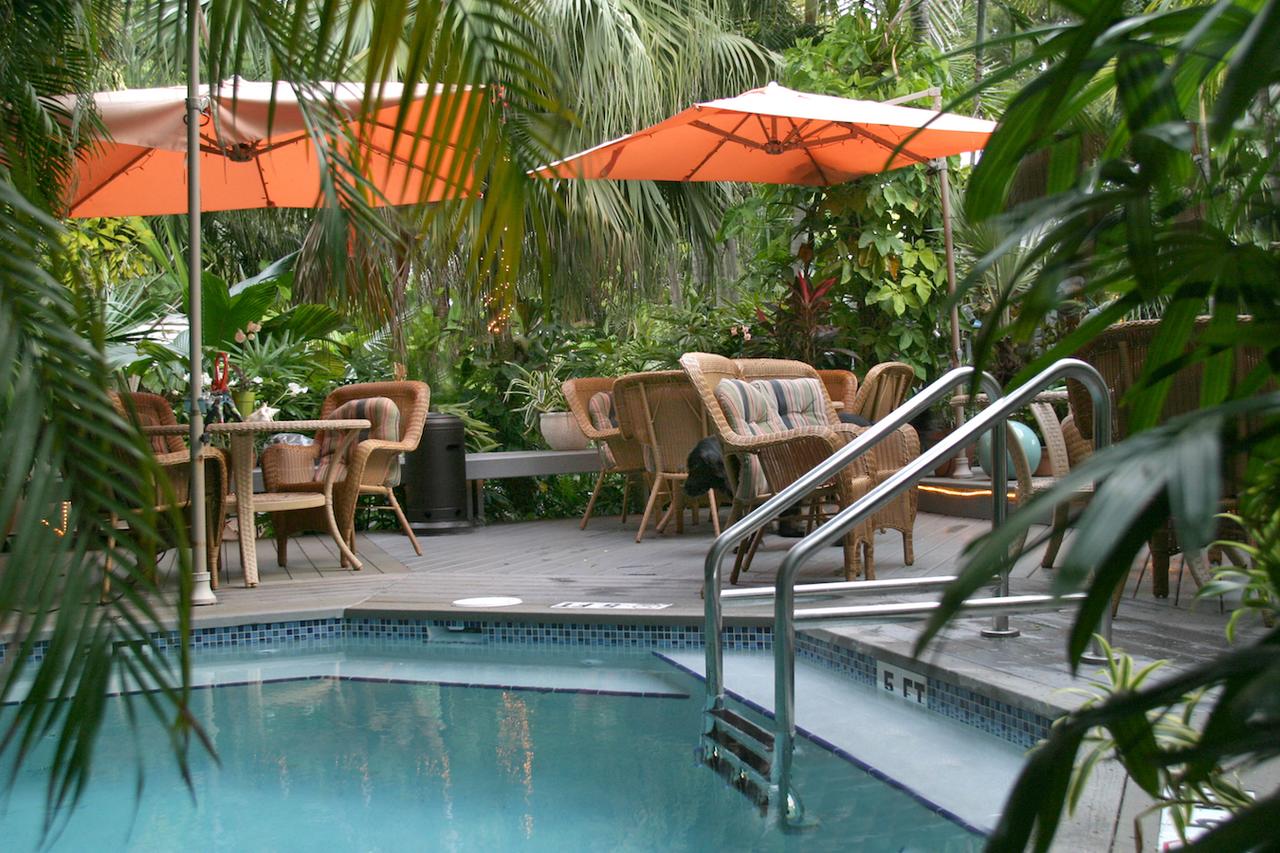 The Mermaid & The Alligator - thumb 14