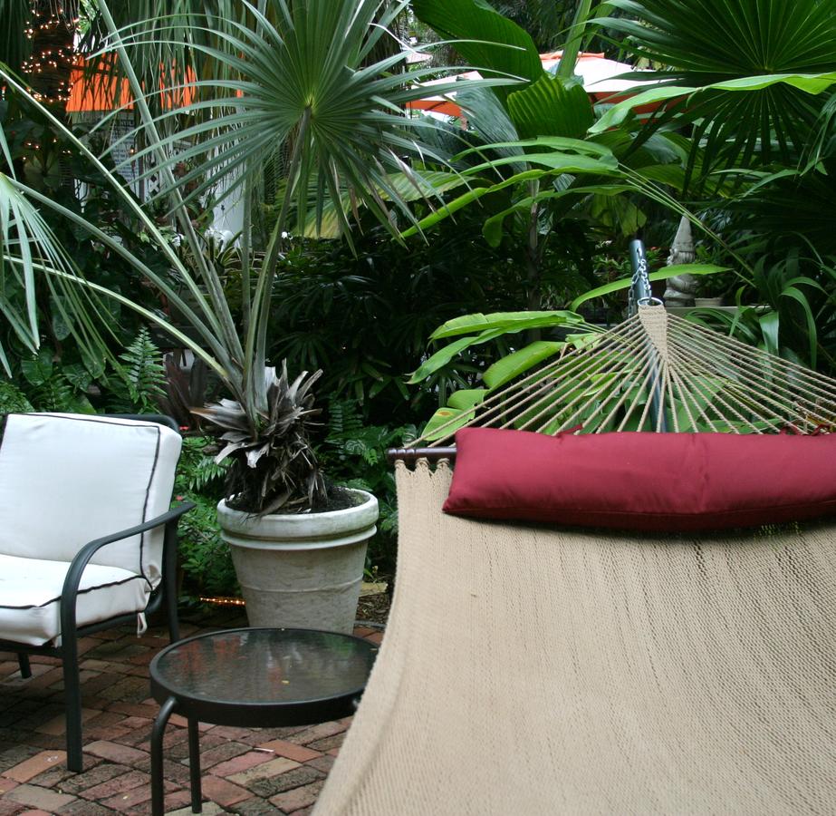 The Mermaid & The Alligator - thumb 8