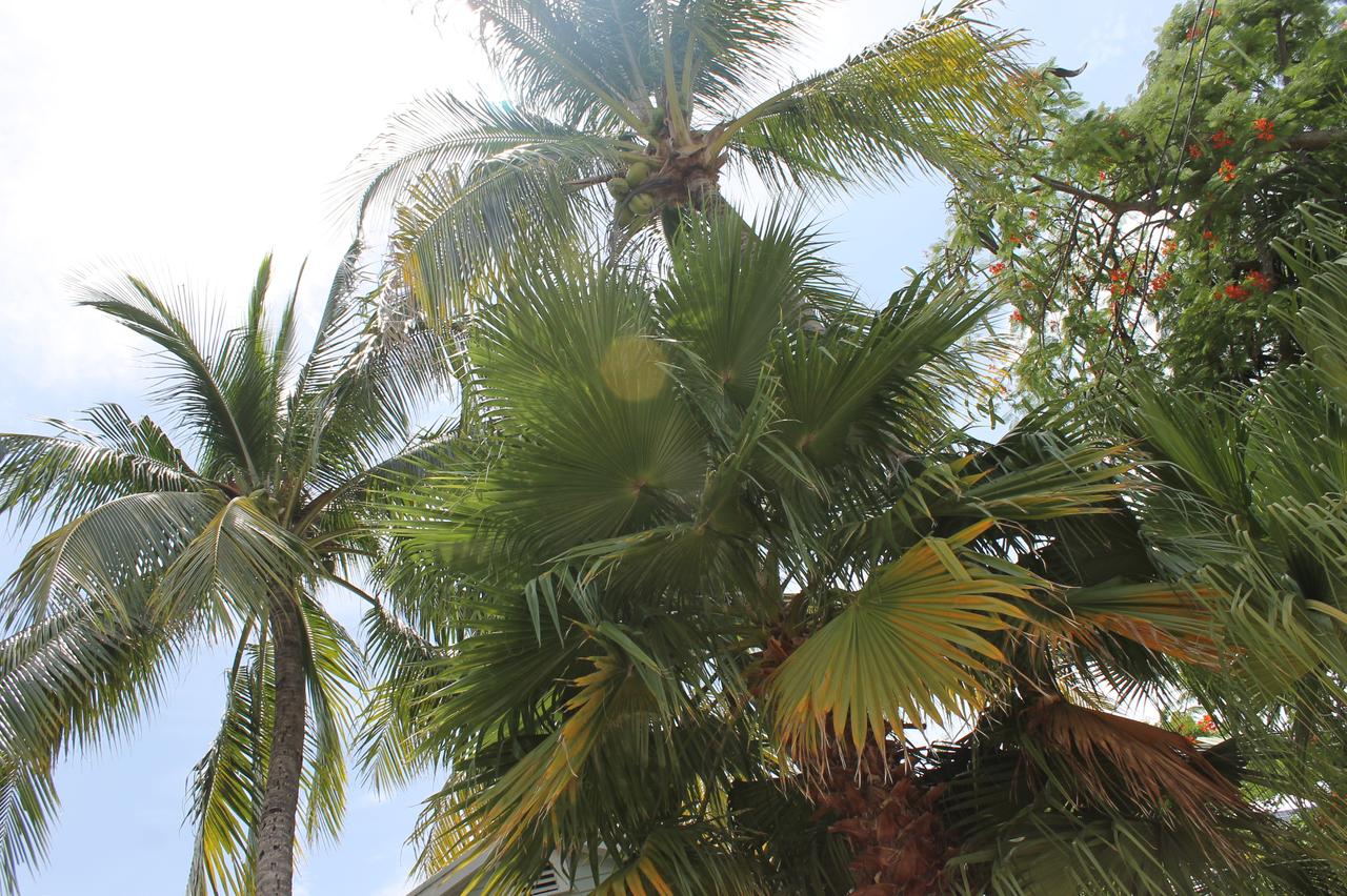 The Grand Guesthouse - thumb 12