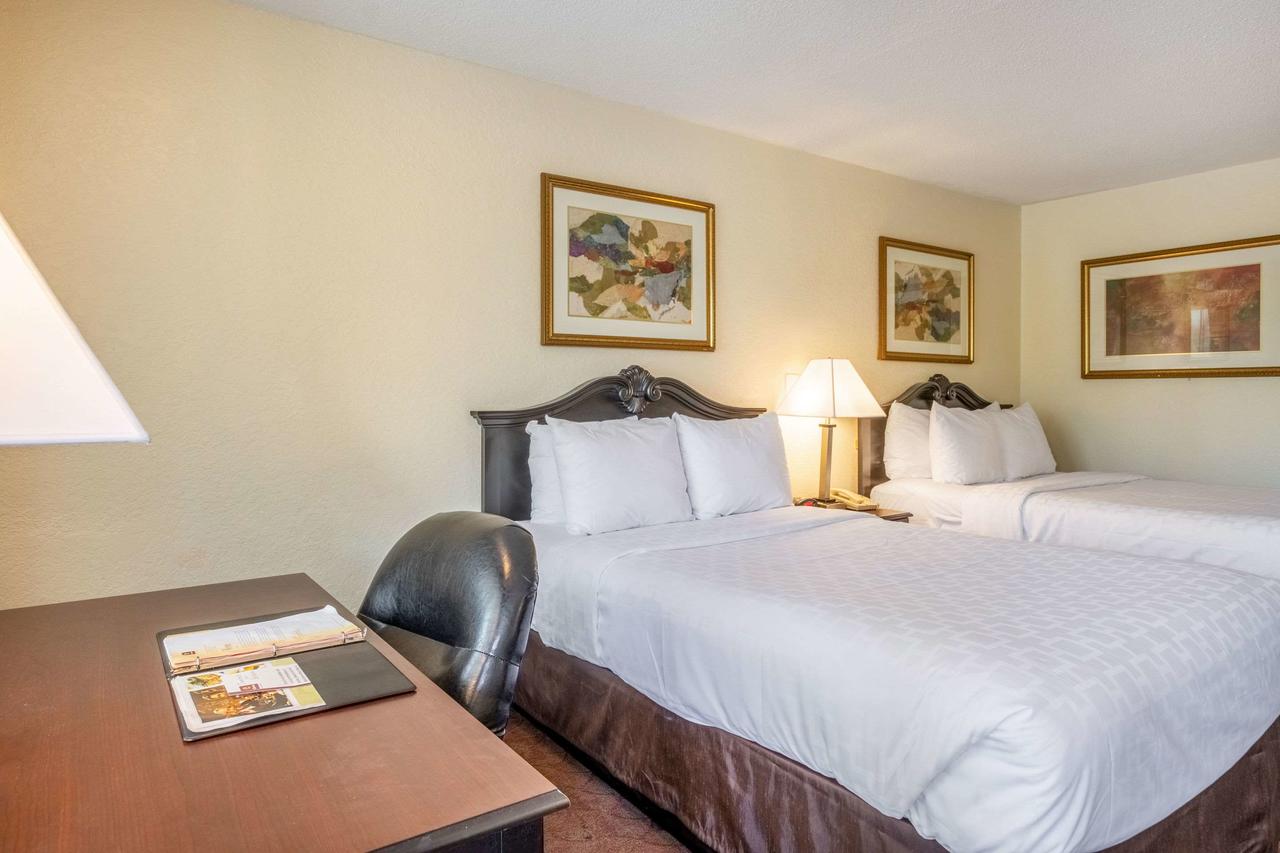 Clarion Inn & Suites Clearwater - thumb 14