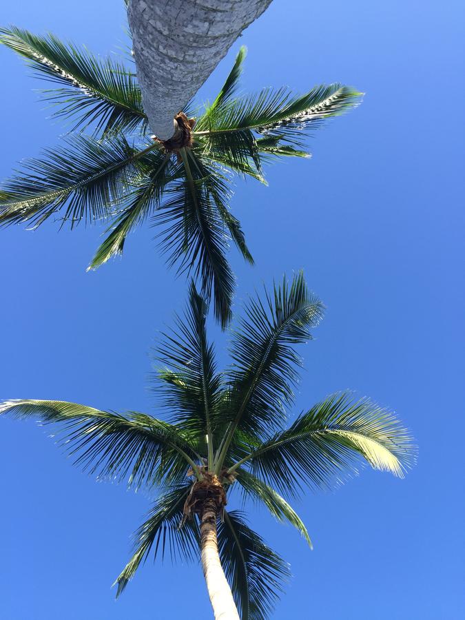 Villa Mangoo - thumb 39