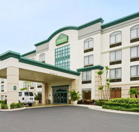 Wingate By Wyndham-Tampa USF/Busch Gardens - Tourism Bookings