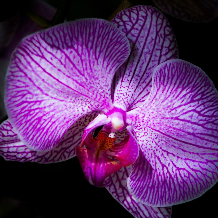 The Gardens Hotel - thumb 32