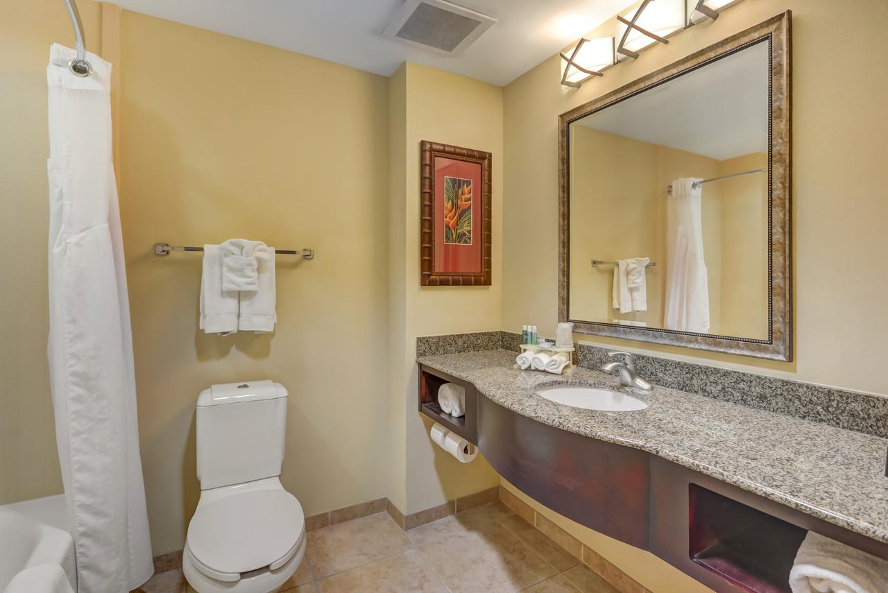 Holiday Inn Express Hotel & Suites Tampa-USF-Busch Gardens - thumb 20