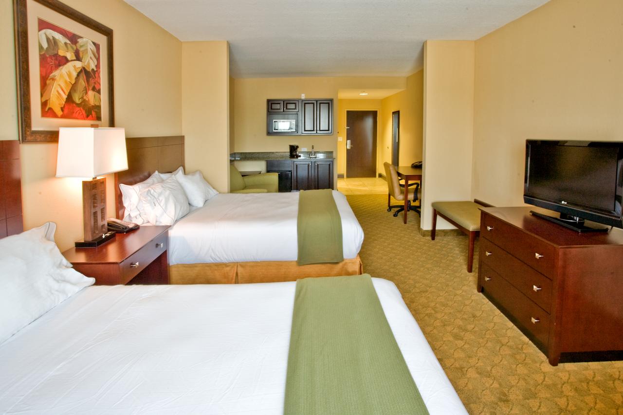 Holiday Inn Express Hotel & Suites Tampa-USF-Busch Gardens - thumb 9