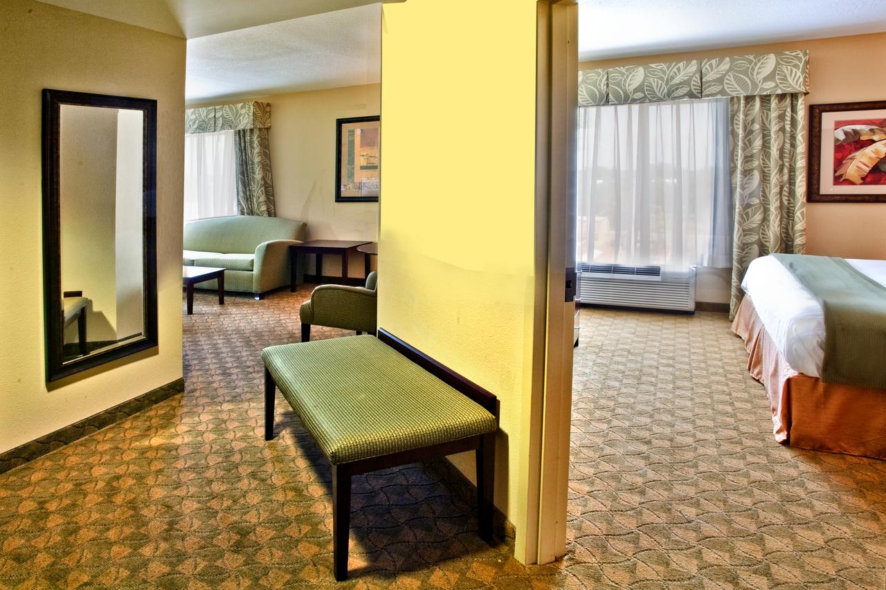 Holiday Inn Express Hotel & Suites Tampa-USF-Busch Gardens - thumb 6