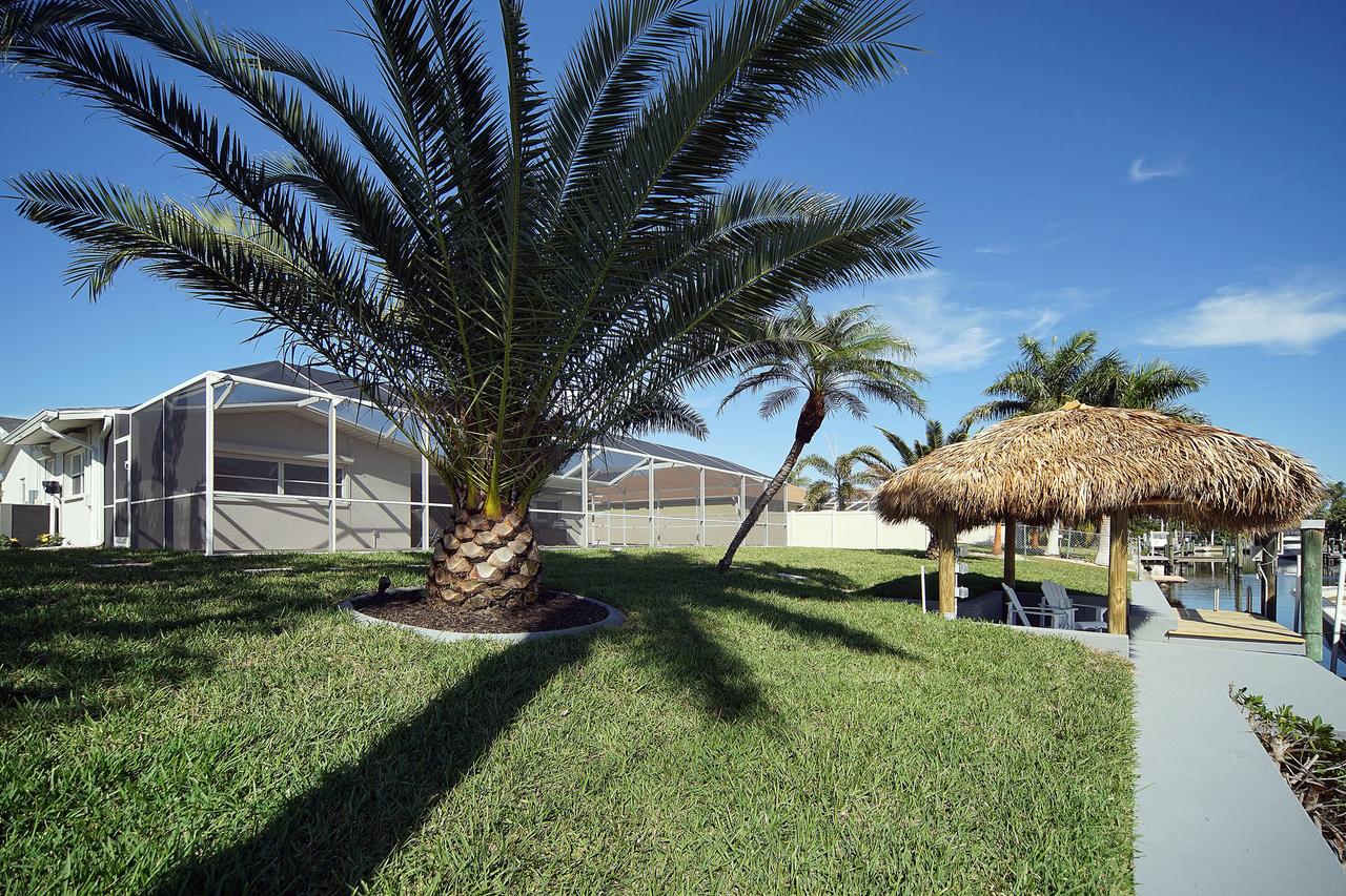 Majestic Palms - thumb 35