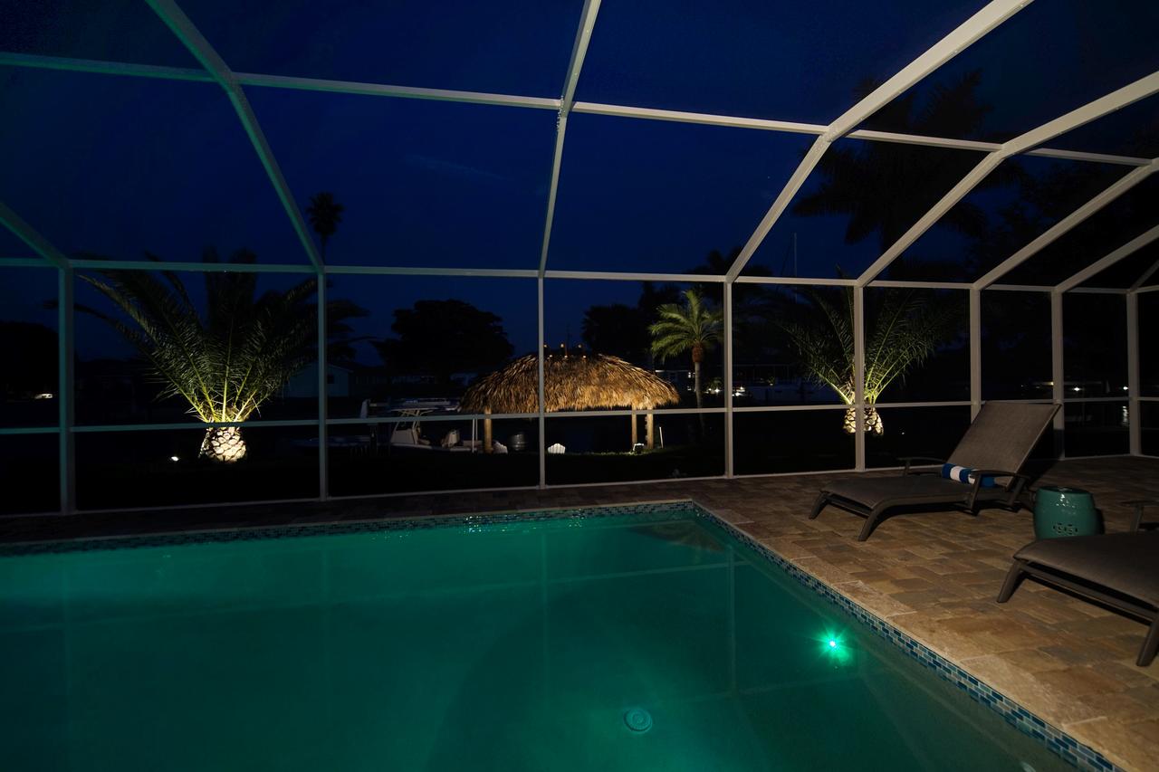 Majestic Palms - thumb 13