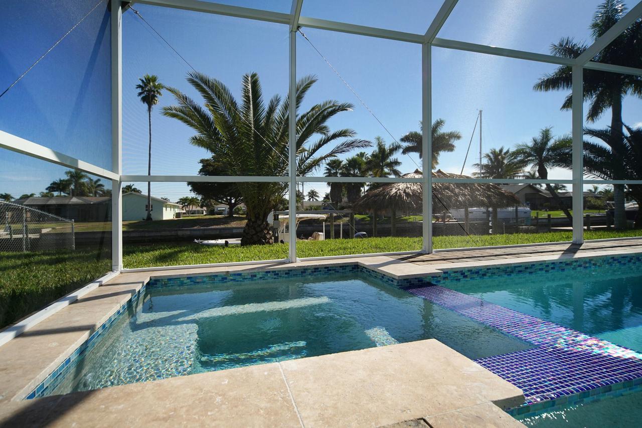 Majestic Palms - thumb 18