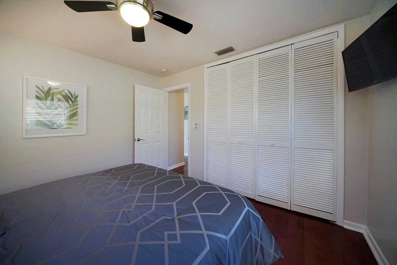 Majestic Palms - thumb 25