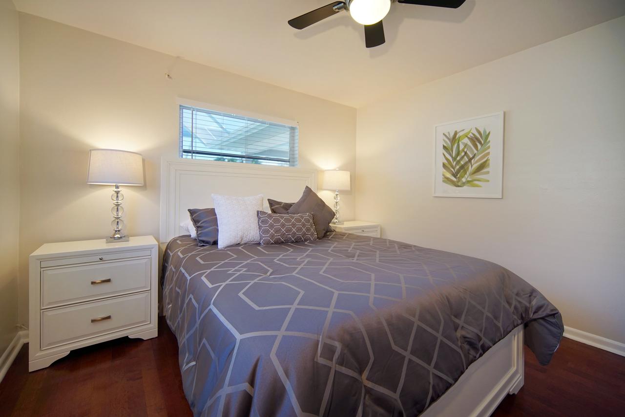 Majestic Palms - thumb 21