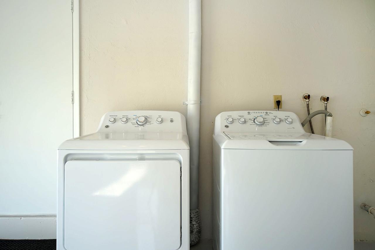 Majestic Palms - thumb 31