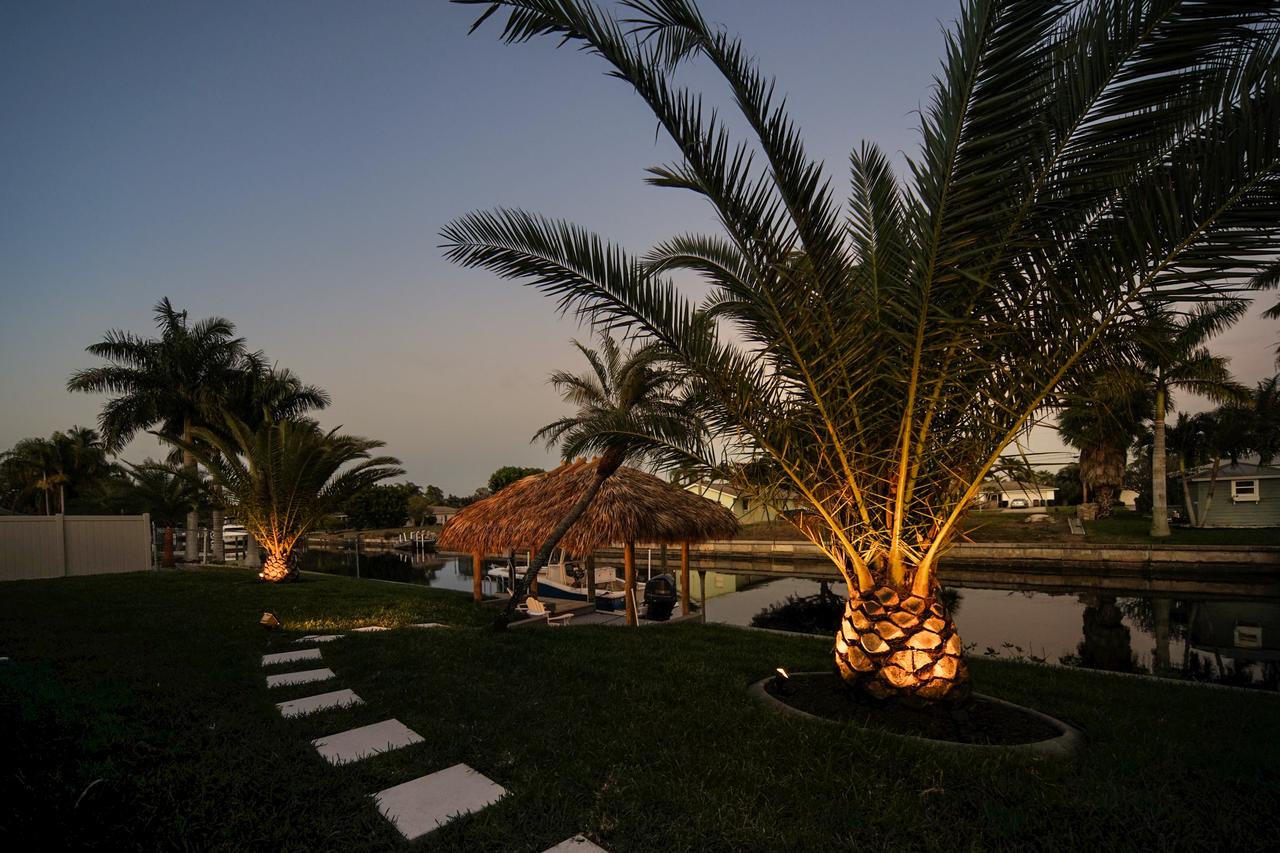 Majestic Palms - thumb 26