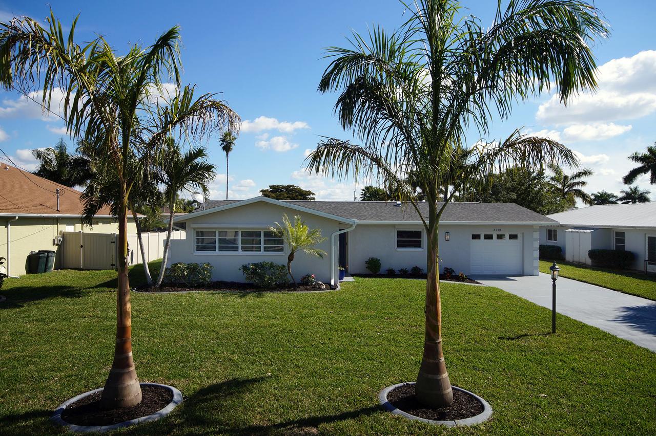 Majestic Palms - thumb 30