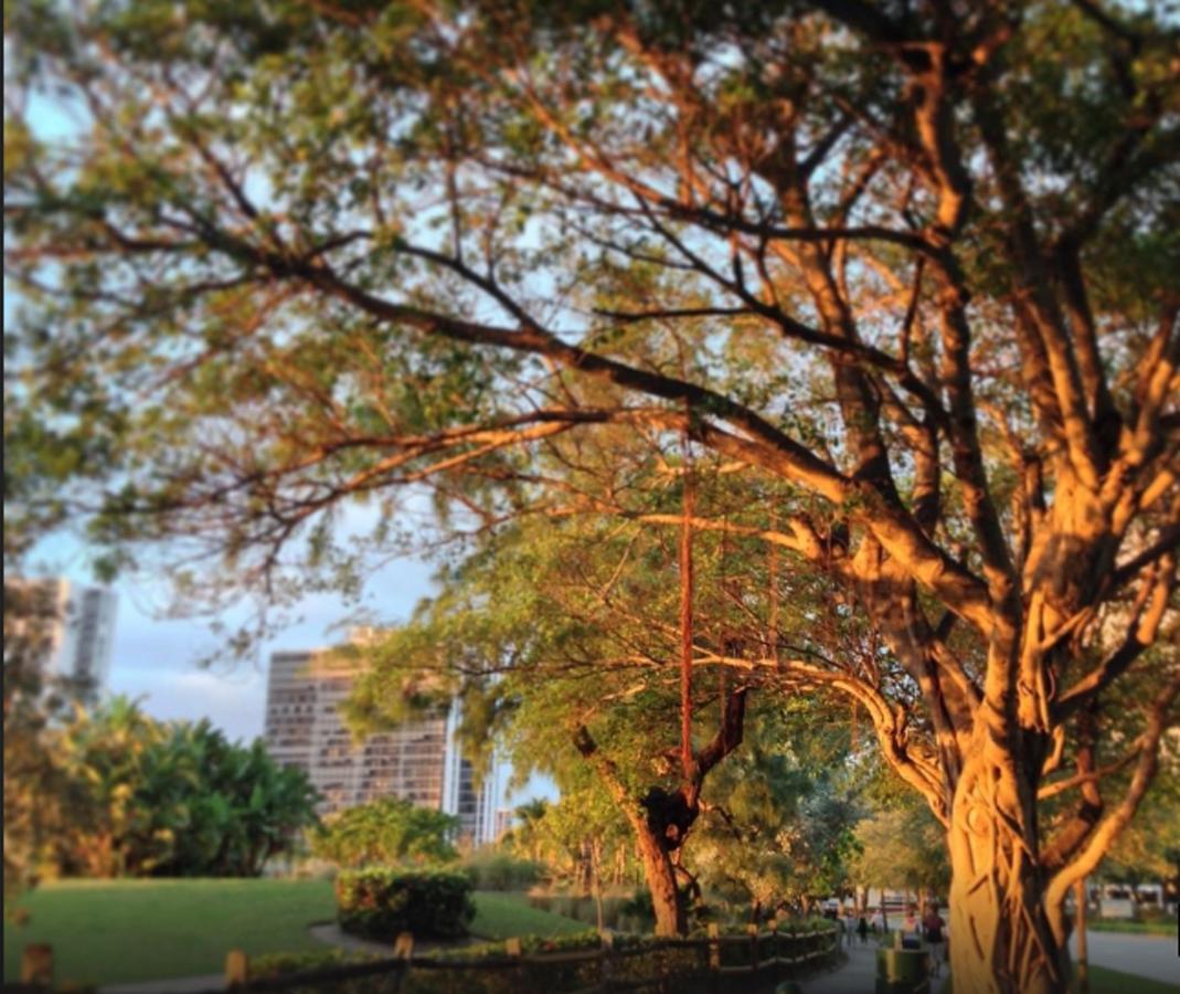 8-202 Yacht Club - New. Great 3 Bedroom. 2 Min To Aventura Mall - thumb 37