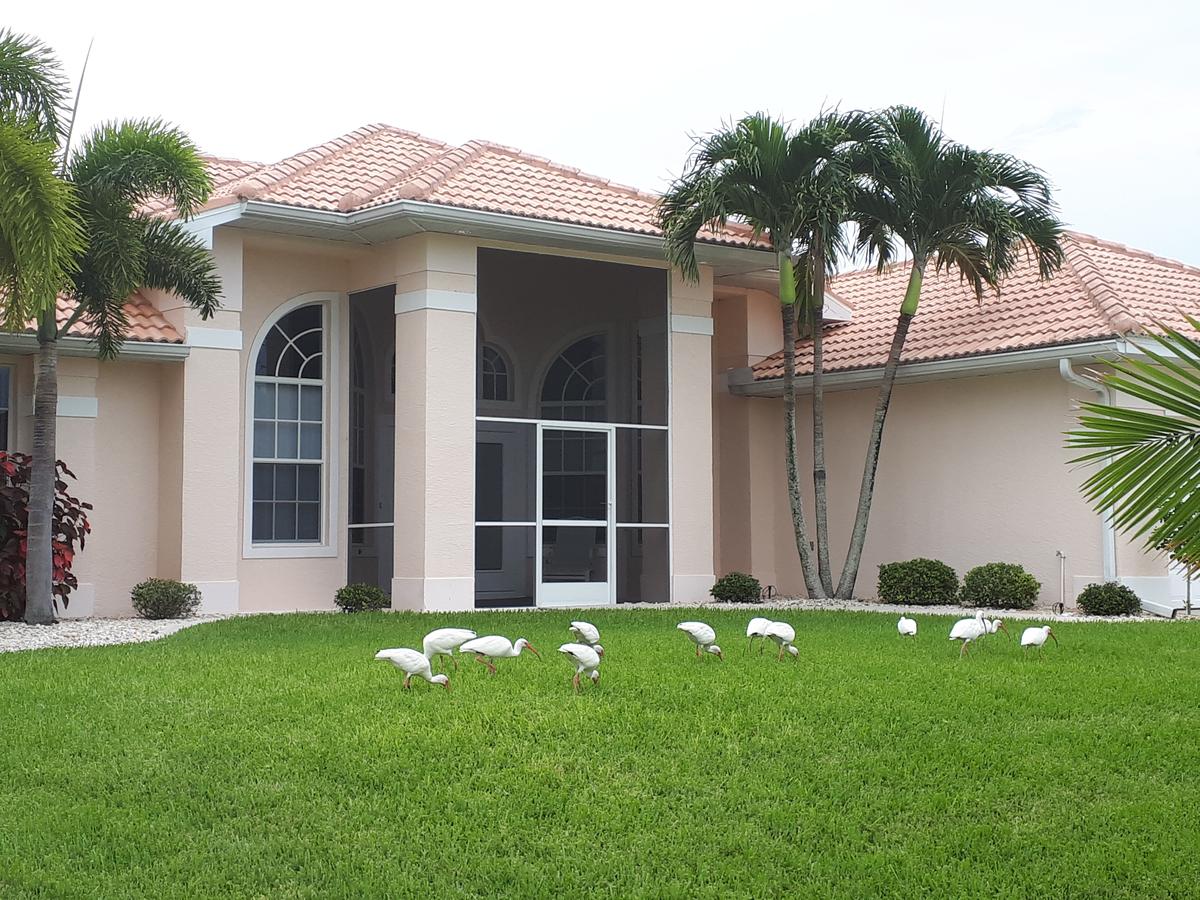 Villa Eyleen - thumb 42