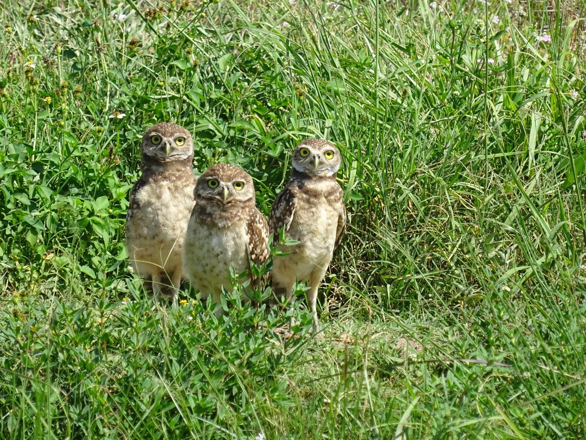 Villa Eyleen - thumb 22